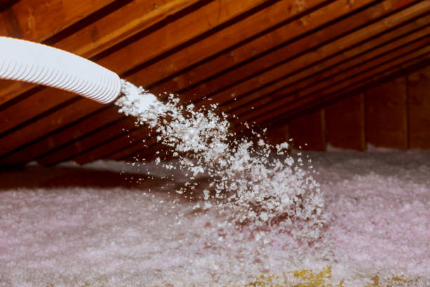 Best Insulation Contractors for Homes  in Hamlet, NC