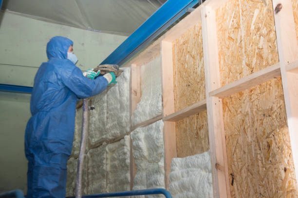 Best Spray Foam Insulation  in Hamlet, NC