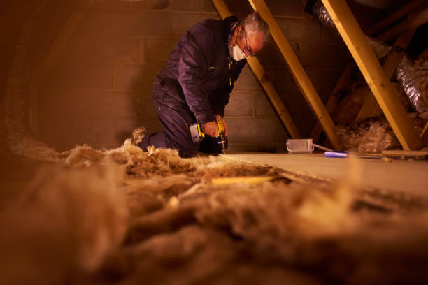 Insulation Inspection Services in Hamlet, NC