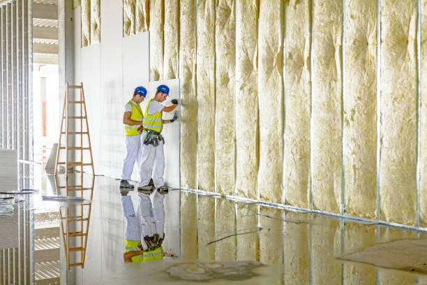 Best Energy-efficient Insulation  in Hamlet, NC